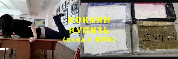 шишки Горняк