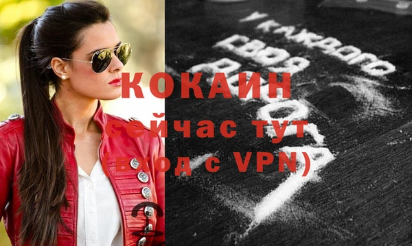 шишки Горняк