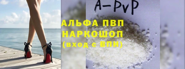 PSILOCYBIN Гусь-Хрустальный