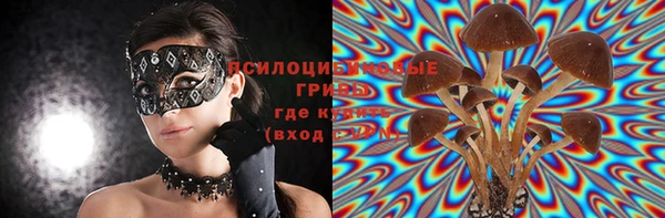 шишки Горняк