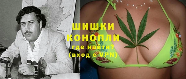 PSILOCYBIN Гусь-Хрустальный