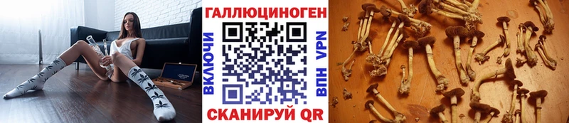 Купить закладки  Рыбинск  Псилоцибиновые грибы мицелий 